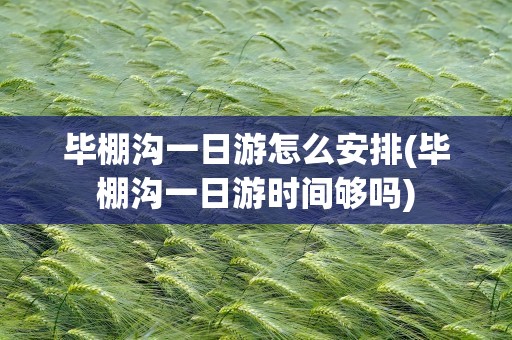 毕棚沟一日游怎么安排(毕棚沟一日游时间够吗)