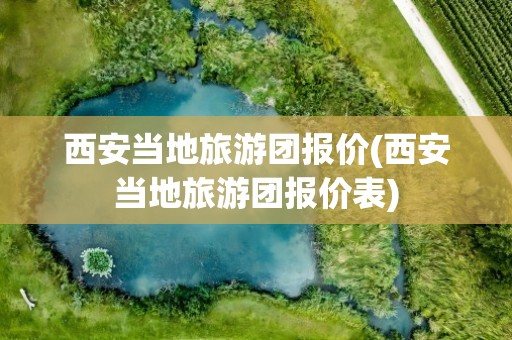 西安当地旅游团报价(西安当地旅游团报价表)