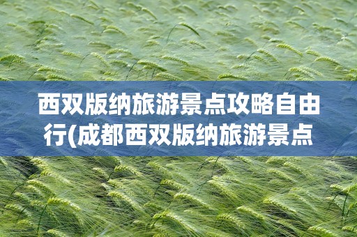 西双版纳旅游景点攻略自由行(成都西双版纳旅游景点攻略自由行)