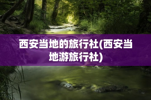 西安当地的旅行社(西安当地游旅行社)