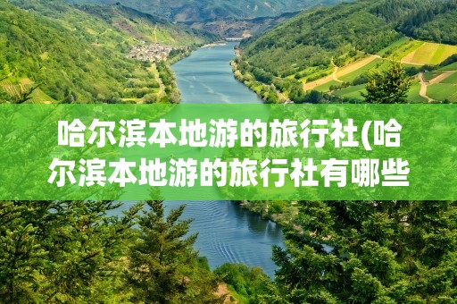 哈尔滨本地游的旅行社(哈尔滨本地游的旅行社有哪些)