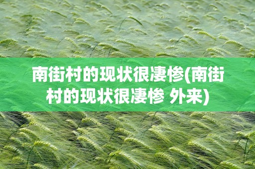 南街村的现状很凄惨(南街村的现状很凄惨 外来)