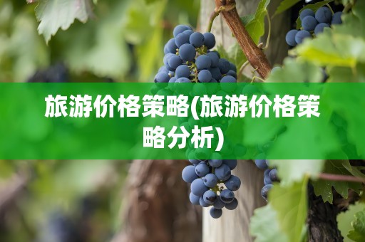 旅游价格策略(旅游价格策略分析)