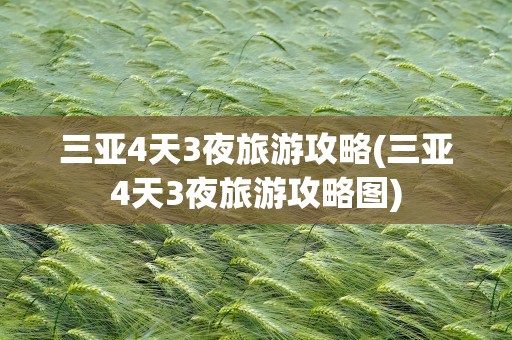 三亚4天3夜旅游攻略(三亚4天3夜旅游攻略图)