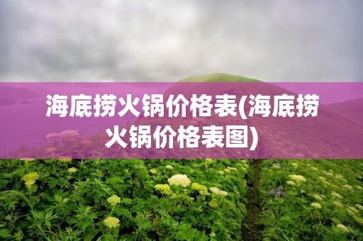 海底捞火锅价格表(海底捞火锅价格表图)