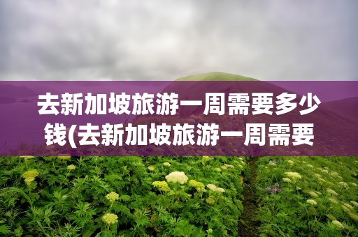 去新加坡旅游一周需要多少钱(去新加坡旅游一周需要多少钱呢)