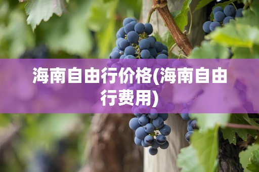 海南自由行价格(海南自由行费用)