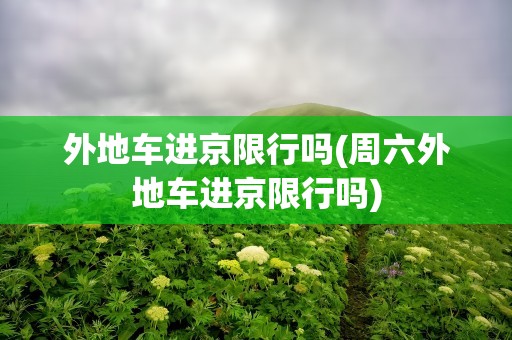 外地车进京限行吗(周六外地车进京限行吗)
