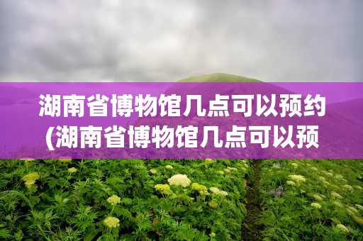 湖南省博物馆几点可以预约(湖南省博物馆几点可以预约门票)