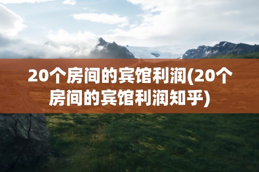 20个房间的宾馆利润(20个房间的宾馆利润知乎)