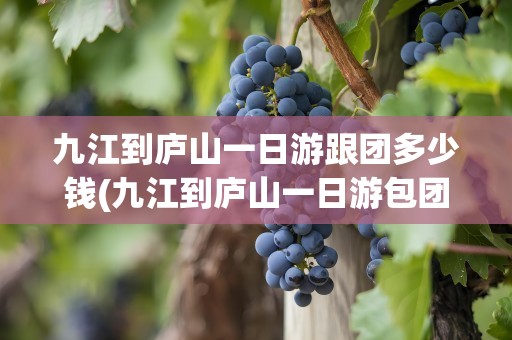 九江到庐山一日游跟团多少钱(九江到庐山一日游包团多少钱)