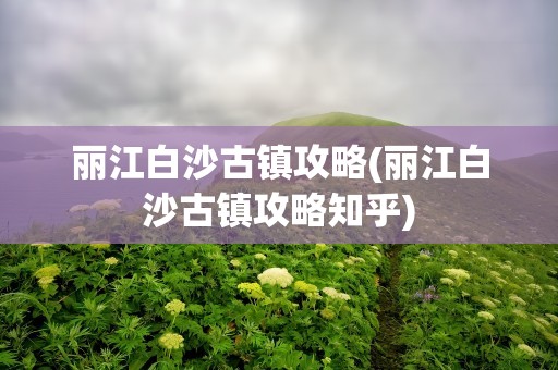 丽江白沙古镇攻略(丽江白沙古镇攻略知乎)