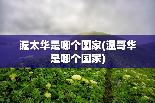 渥太华是哪个国家(温哥华是哪个国家)