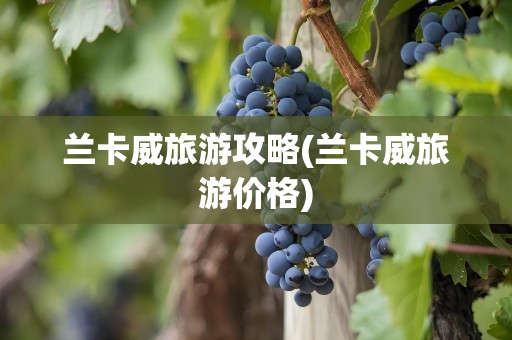 兰卡威旅游攻略(兰卡威旅游价格)