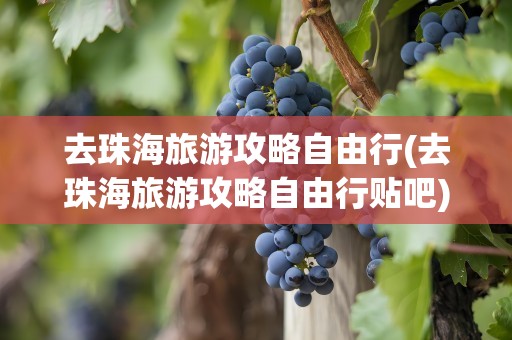 去珠海旅游攻略自由行(去珠海旅游攻略自由行贴吧)