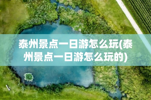 泰州景点一日游怎么玩(泰州景点一日游怎么玩的)