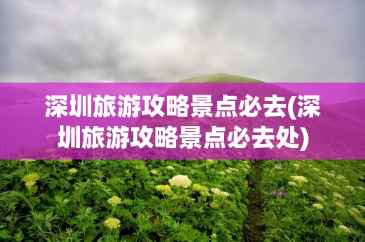 深圳旅游攻略景点必去(深圳旅游攻略景点必去处)