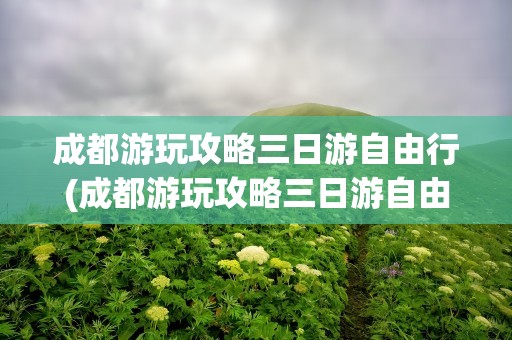 成都游玩攻略三日游自由行(成都游玩攻略三日游自由行氵)
