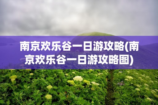 南京欢乐谷一日游攻略(南京欢乐谷一日游攻略图)