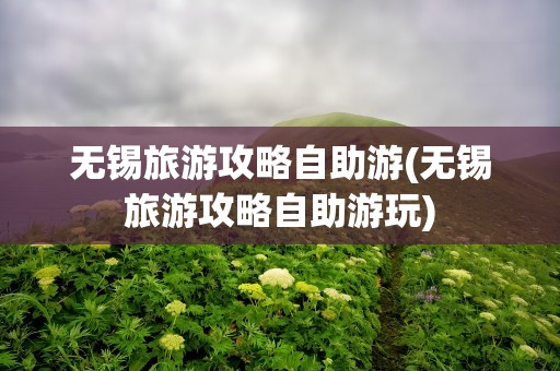无锡旅游攻略自助游(无锡旅游攻略自助游玩)
