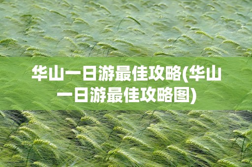 华山一日游最佳攻略(华山一日游最佳攻略图)