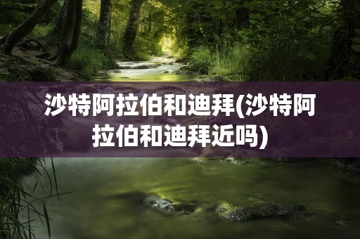 沙特阿拉伯和迪拜(沙特阿拉伯和迪拜近吗)