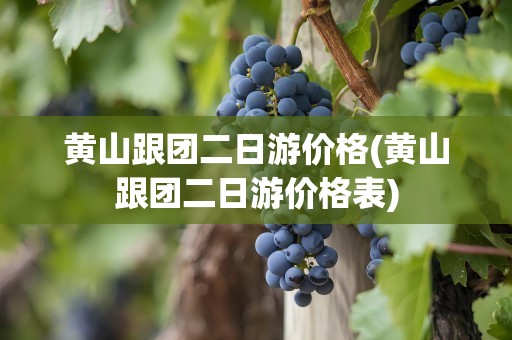 黄山跟团二日游价格(黄山跟团二日游价格表)