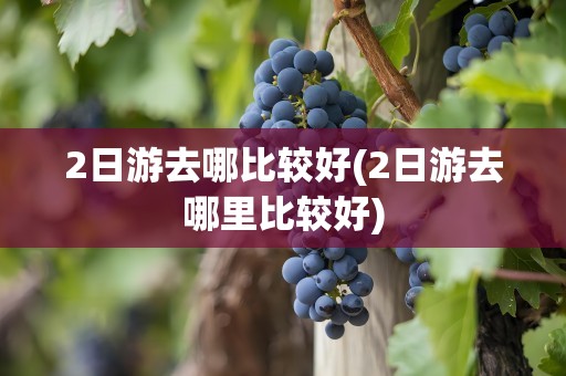 2日游去哪比较好(2日游去哪里比较好)