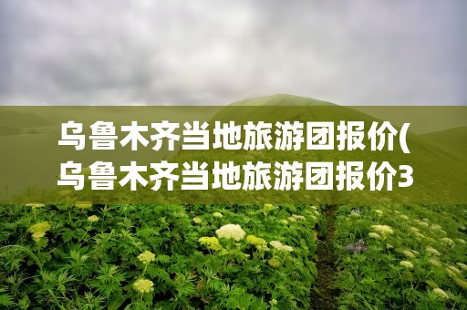 乌鲁木齐当地旅游团报价(乌鲁木齐当地旅游团报价3日游)