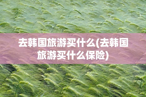 去韩国旅游买什么(去韩国旅游买什么保险)