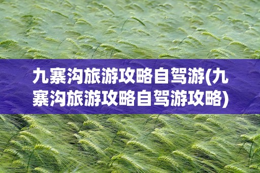 九寨沟旅游攻略自驾游(九寨沟旅游攻略自驾游攻略)