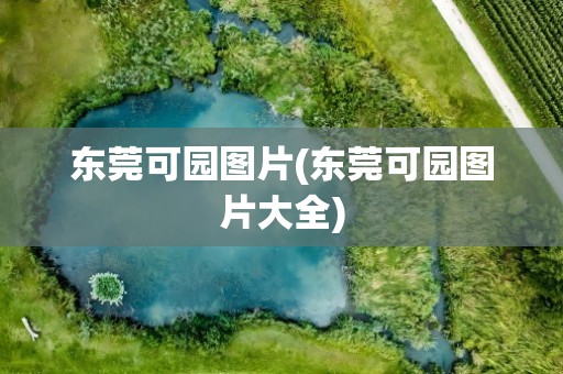 东莞可园图片(东莞可园图片大全)