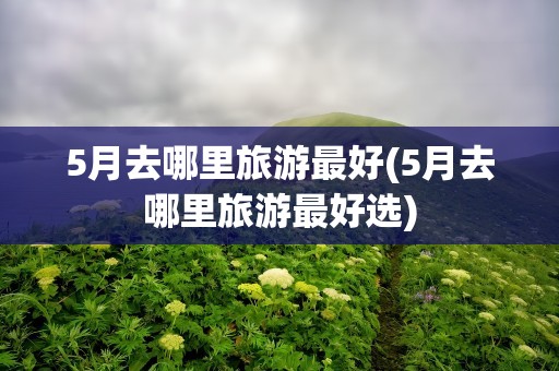 5月去哪里旅游最好(5月去哪里旅游最好选)