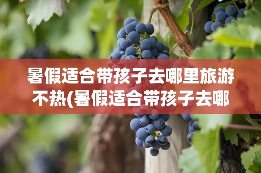 暑假适合带孩子去哪里旅游不热(暑假适合带孩子去哪里旅游避暑)