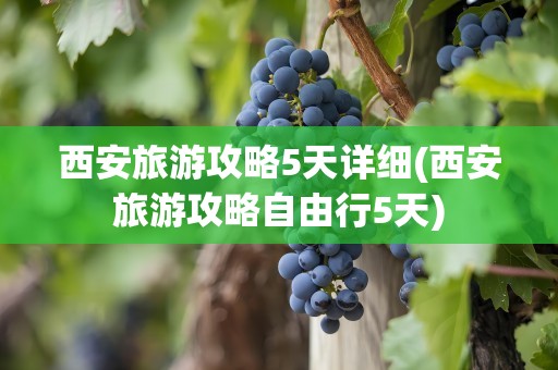 西安旅游攻略5天详细(西安旅游攻略自由行5天)