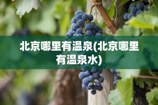 北京哪里有温泉(北京哪里有温泉水)