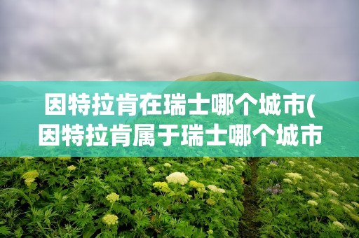 因特拉肯在瑞士哪个城市(因特拉肯属于瑞士哪个城市)