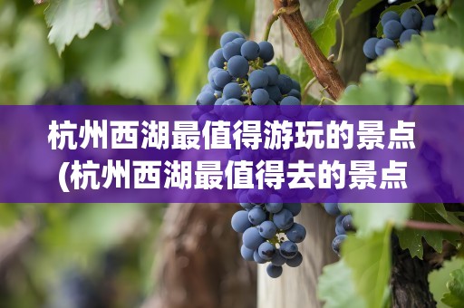 杭州西湖最值得游玩的景点(杭州西湖最值得去的景点)