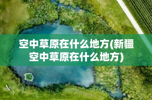 空中草原在什么地方(新疆空中草原在什么地方)
