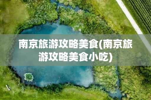 南京旅游攻略美食(南京旅游攻略美食小吃)