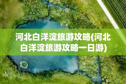 河北白洋淀旅游攻略(河北白洋淀旅游攻略一日游)
