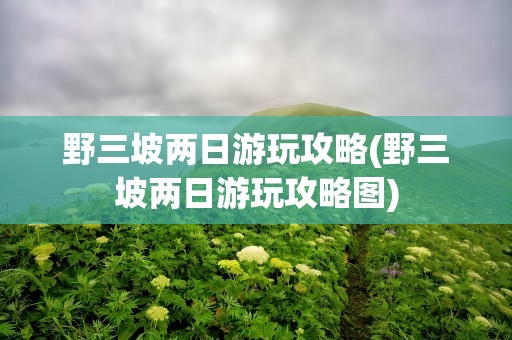 野三坡两日游玩攻略(野三坡两日游玩攻略图)