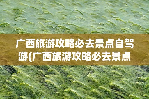 广西旅游攻略必去景点自驾游(广西旅游攻略必去景点自驾游路线)
