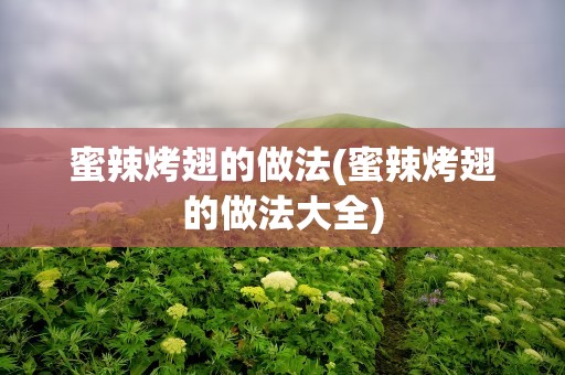 蜜辣烤翅的做法(蜜辣烤翅的做法大全)