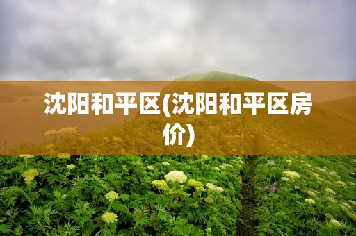 沈阳和平区(沈阳和平区房价)