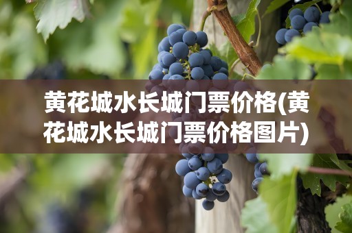 黄花城水长城门票价格(黄花城水长城门票价格图片)