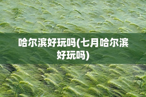 哈尔滨好玩吗(七月哈尔滨好玩吗)