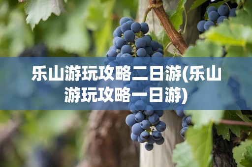 乐山游玩攻略二日游(乐山游玩攻略一日游)