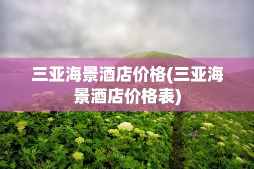 三亚海景酒店价格(三亚海景酒店价格表)