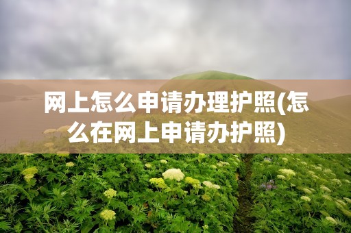 网上怎么申请办理护照(怎么在网上申请办护照)
